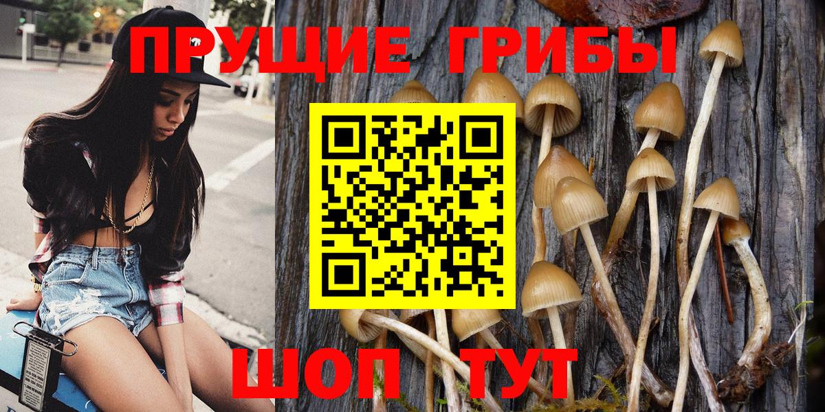 Кондопога  Псилоцибиновые грибы MAGIC MUSHROOMS  Вход с VPN  Псилоцибиновые грибы Cubensis 